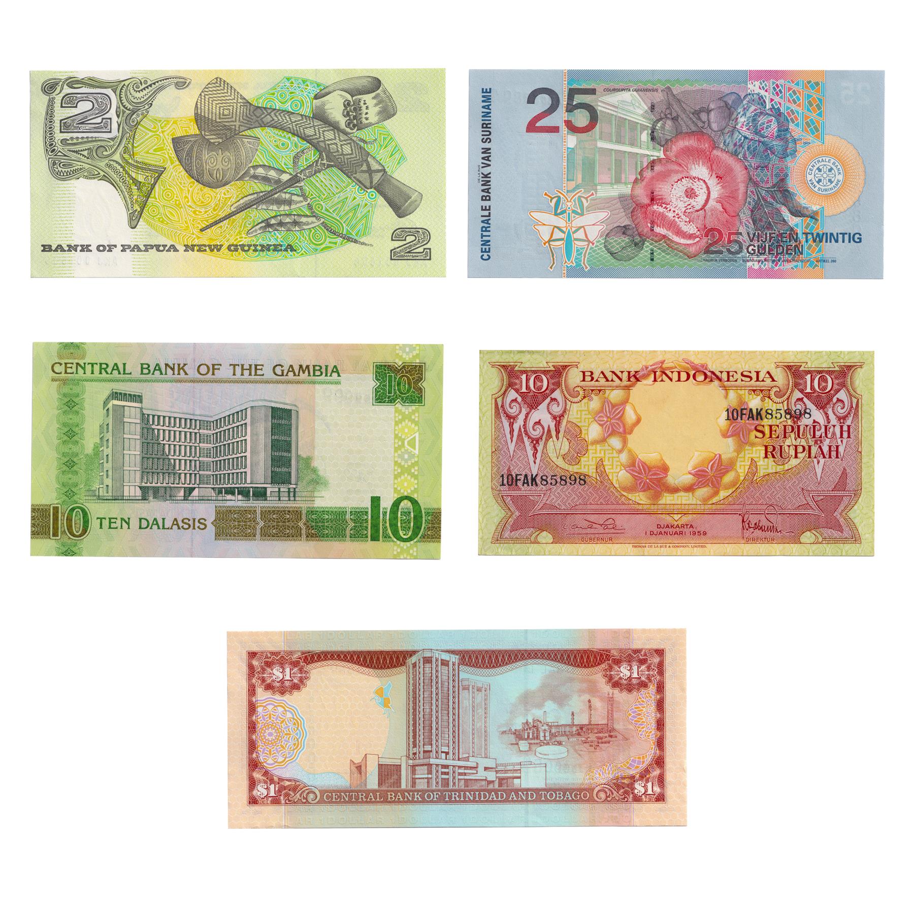 5 Banknote Set | Birds | Cockatoos | African Sacred Ibis | Bird of Paradise | Toucan