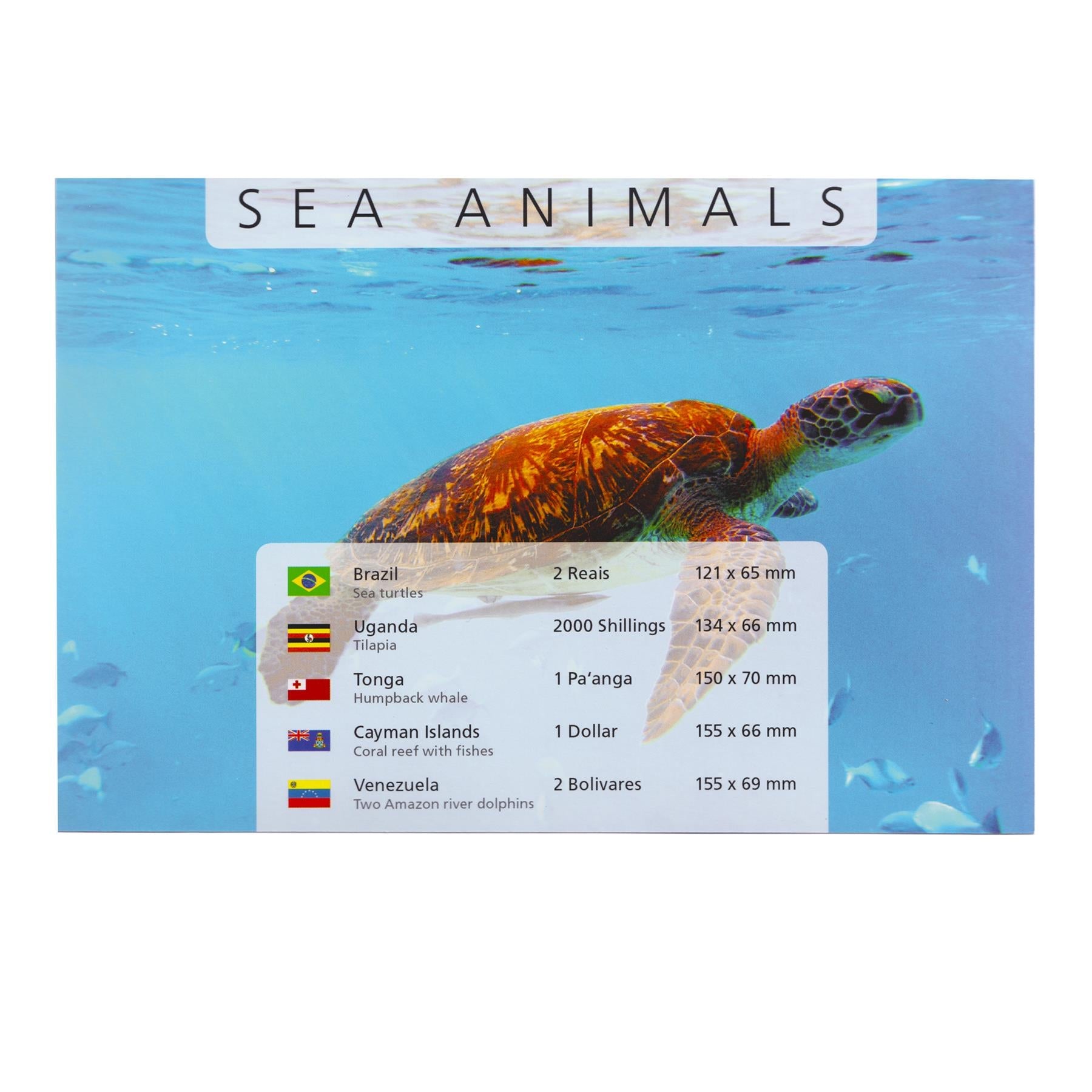 5 Banknotes | Sea Animals | Turtles | Tilapia | Whale | Coral reef fishes | Dolphins