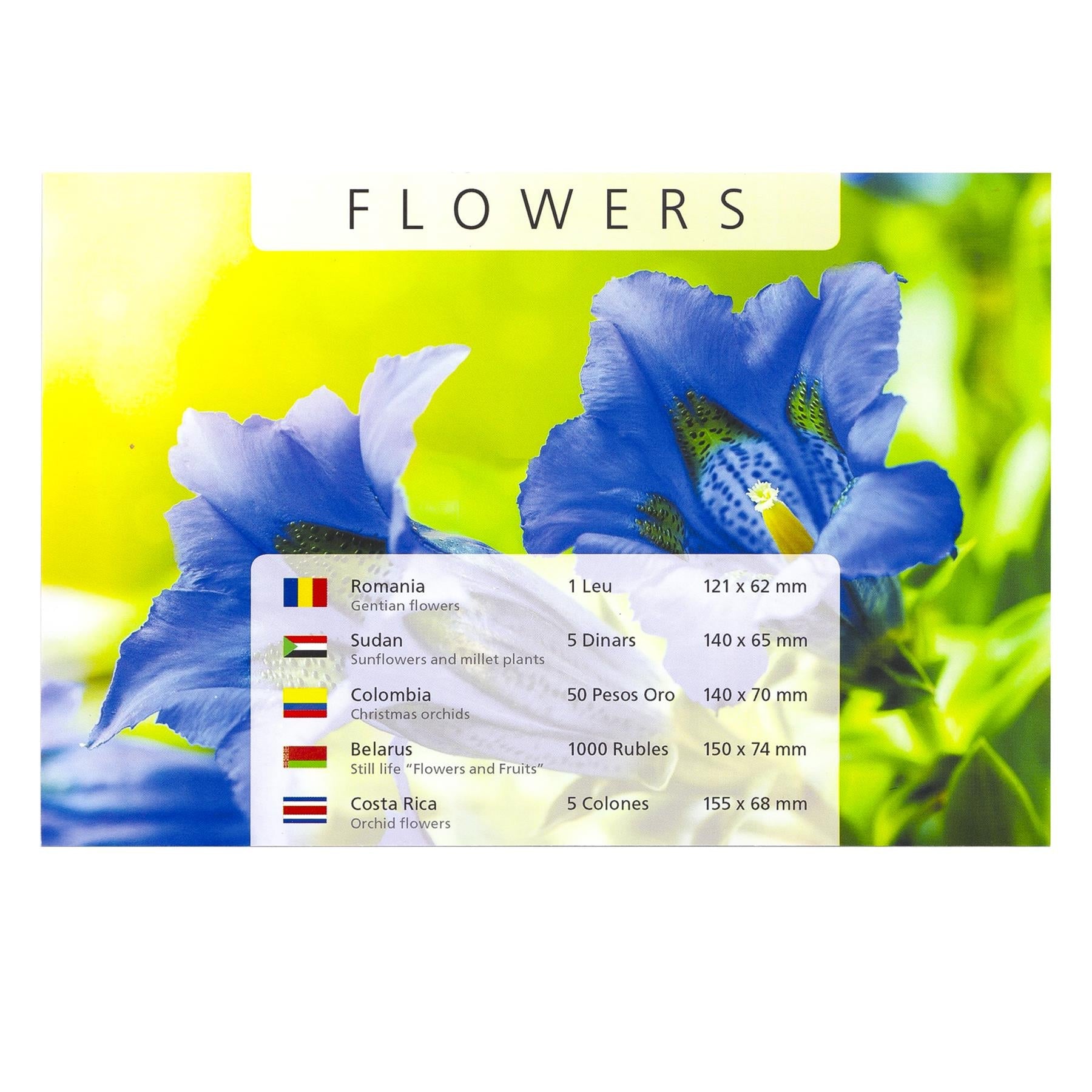 5 Banknotes with Flowers | Sunflowers | Christmas orchids | Fruits and Plants