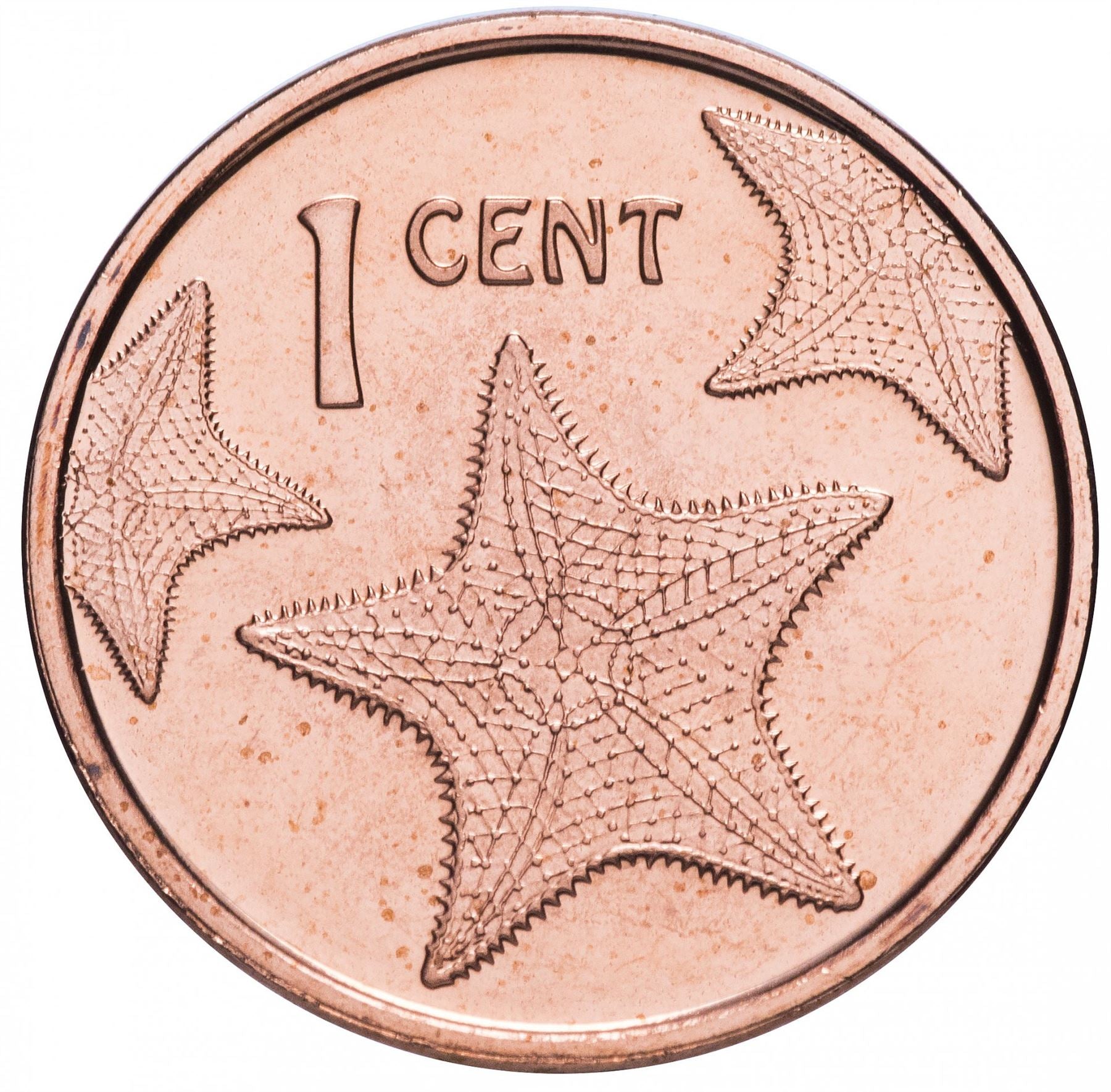 Bahamas | 1 Cent Coin | Starfish | Flamingo | Marlin | KM218.3 | 2014 - 2015