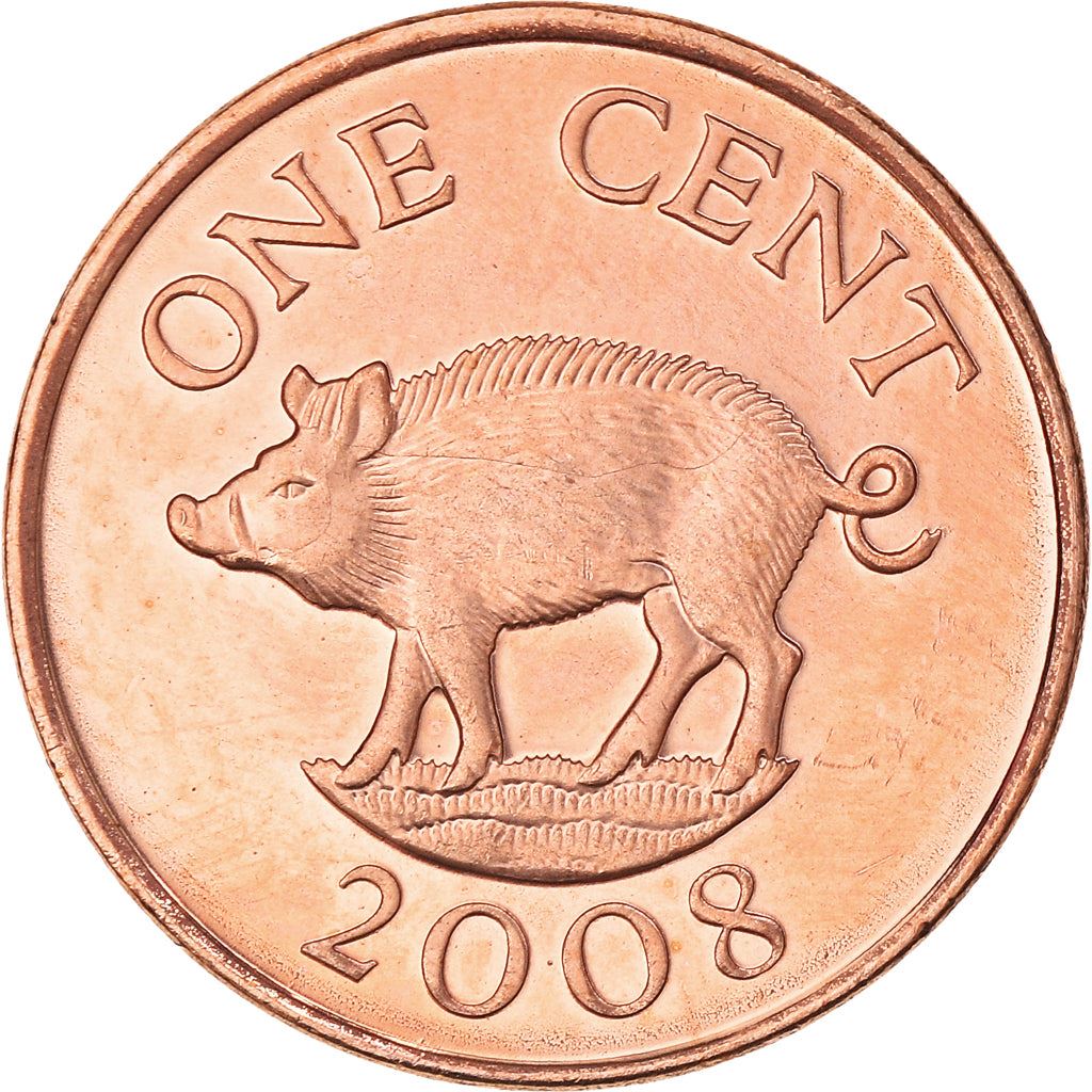 Bermuda | 1 Cent Coin | Queen Elizabeth II | Wild Boar | KM107a | 2007 - 2009