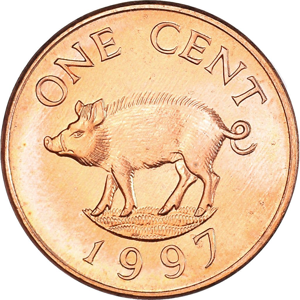 Bermuda | 1 Cent Coin | Queen Elizabeth II | Wild Boar | KM44b | 1991 - 1998