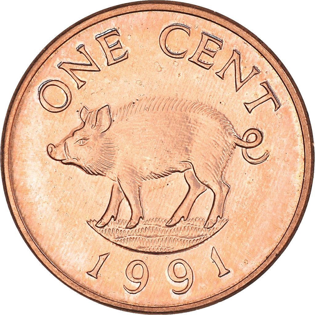 Bermuda | 1 Cent Coin | Queen Elizabeth II | Wild Boar | KM44b | 1991 - 1998