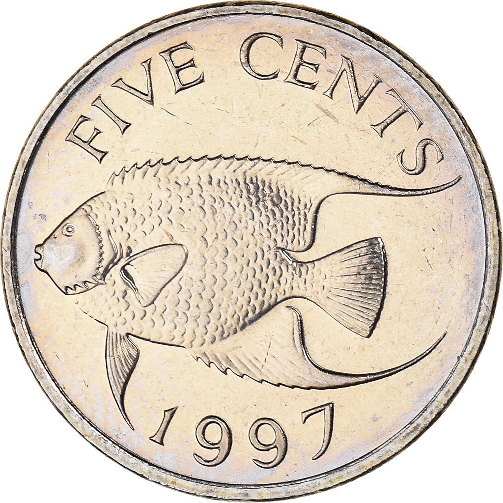 Bermuda | 5 Cents Coin | Queen Elizabeth II | Angelfish | KM45 | 1986 - 1998