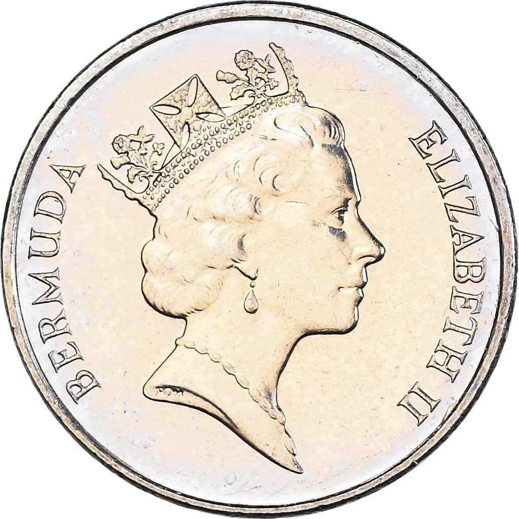 Bermuda | 5 Cents Coin | Queen Elizabeth II | Angelfish | KM45 | 1986 - 1998