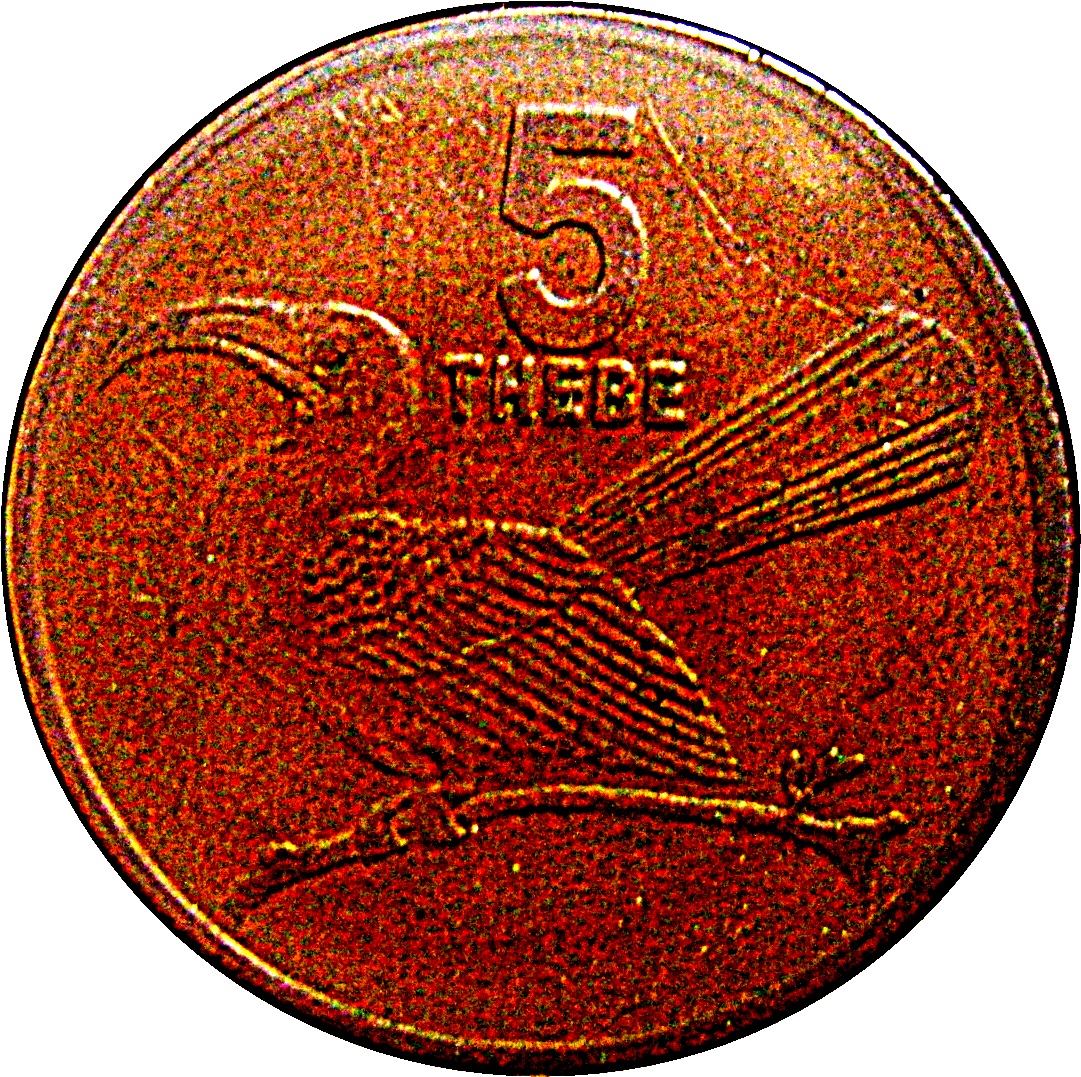 Botswana 5 Thebe Coin | Red-billed Hornbill | KM4a | 1991 - 1996