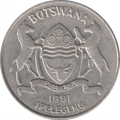 Botswana 50 Thebe Coin | African Fish Eagle | KM7a | 1991