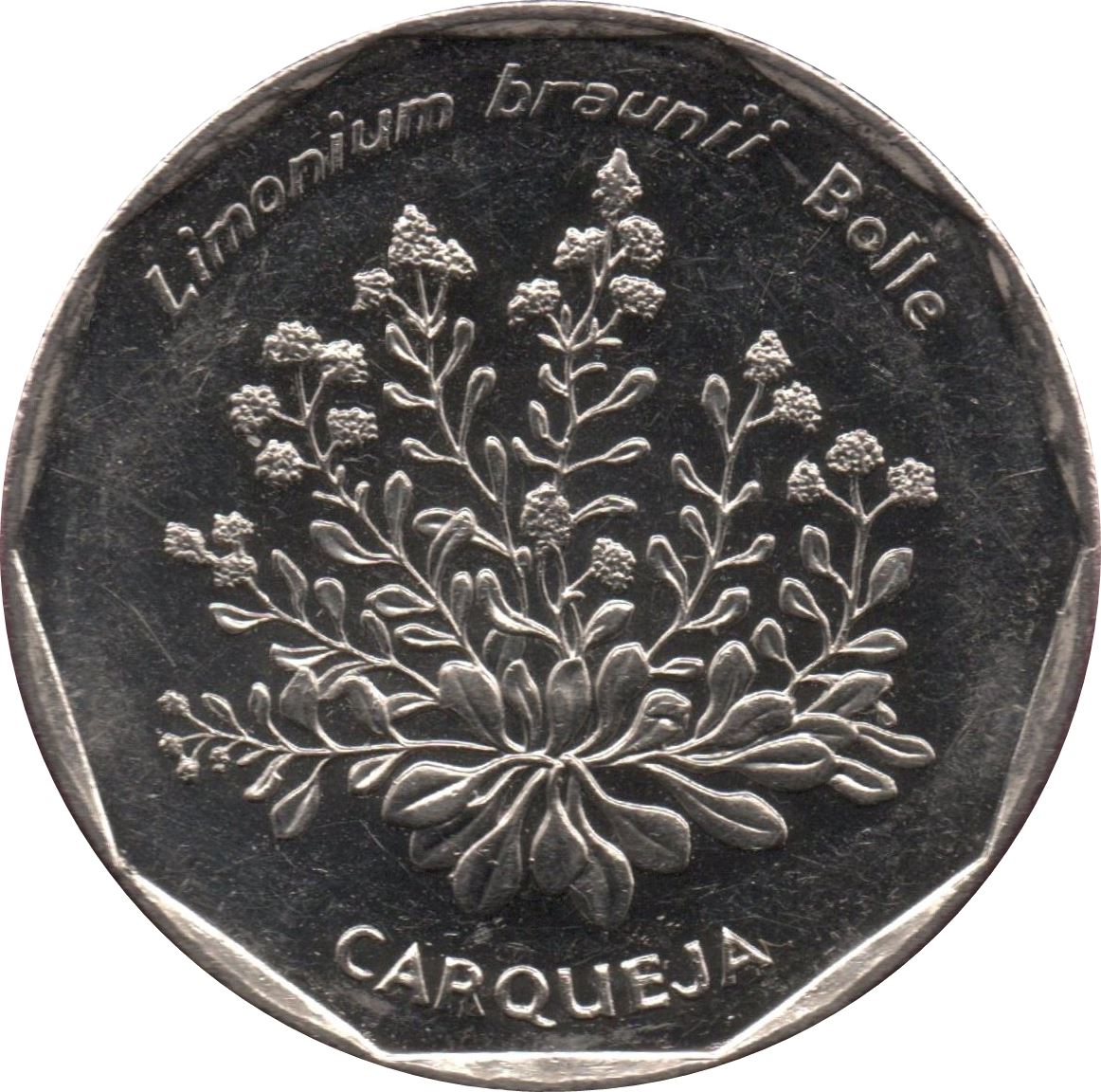 Cape Verde | 20 Escudos Coin | Carqueja Flowers | KM33 | 1994