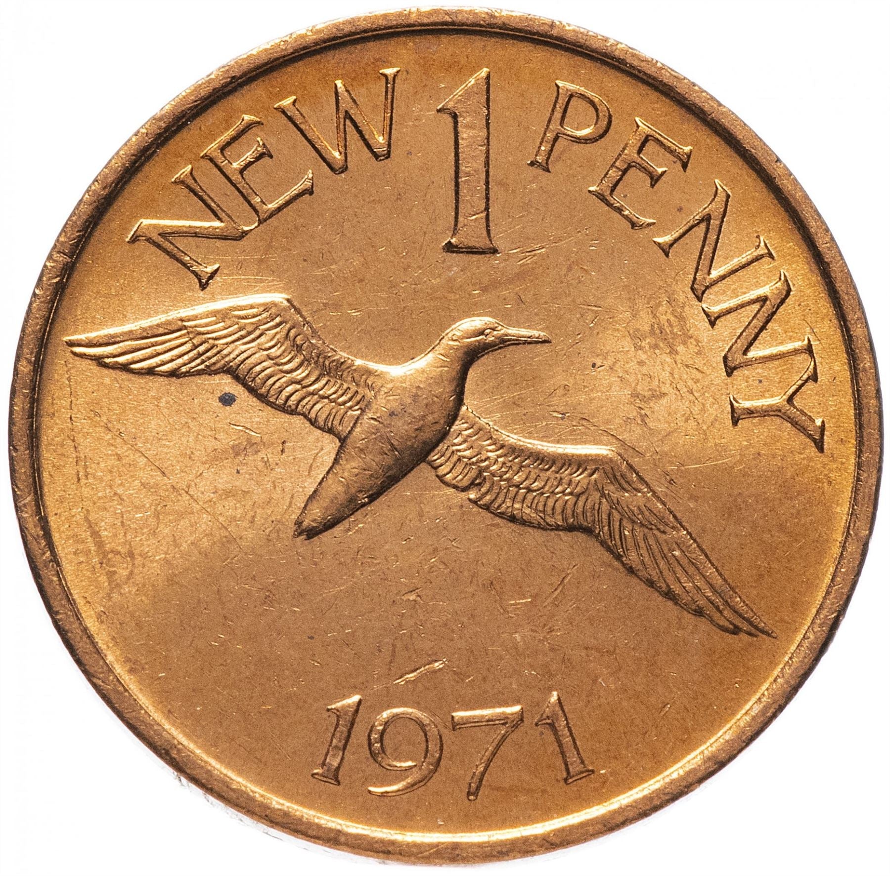 Guernsey Coin | 1 New Penny | Leopard | Shield | Northern Gannet | KM21 | 1971