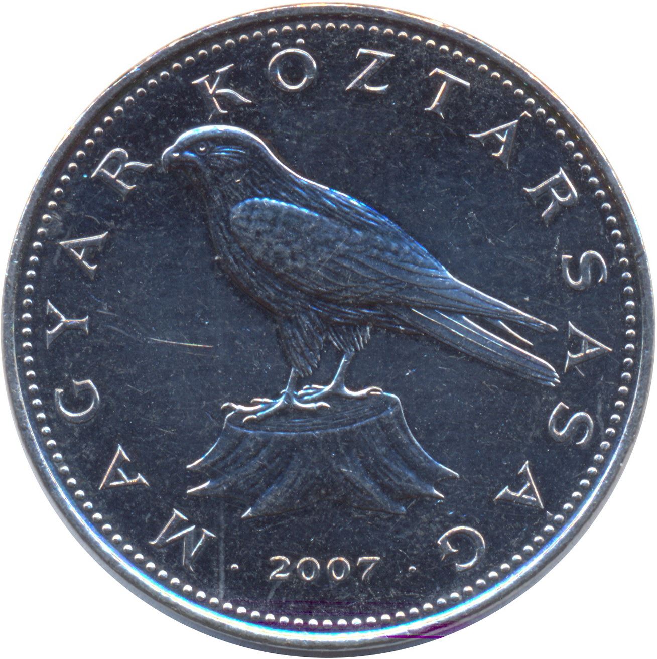 Hungary 50 Forint Coin | Saker Falcon | KM697 | 1992 - 2011