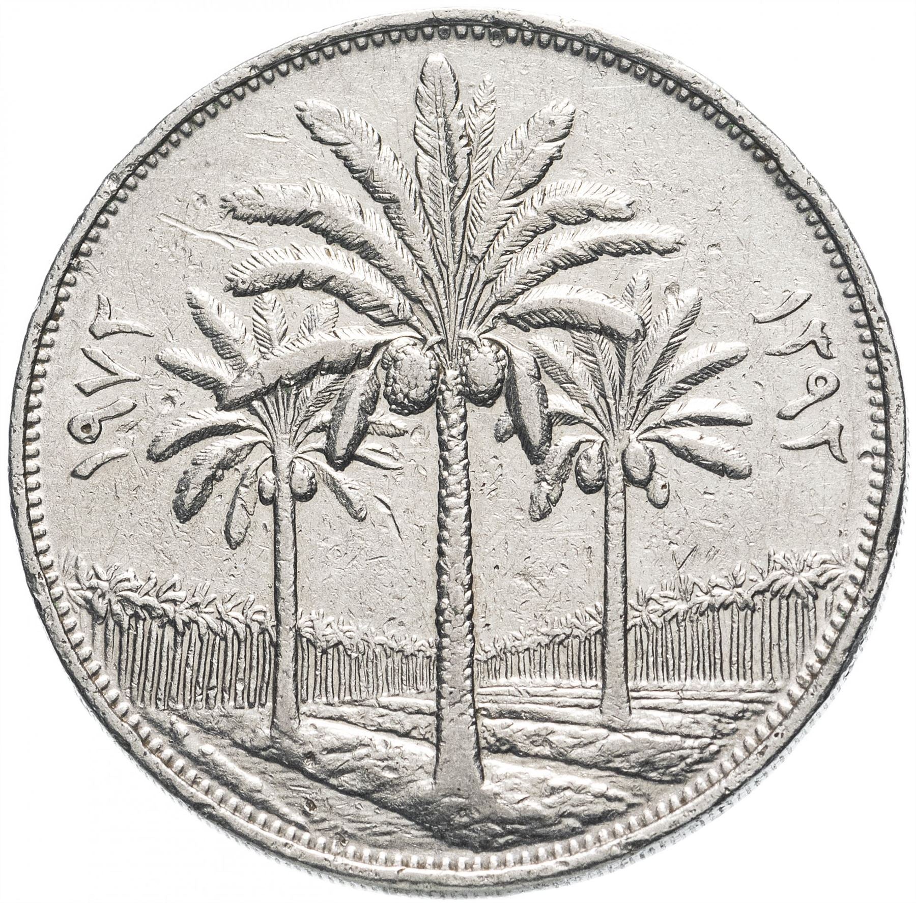 Iraq 250 Fils Coin | Palm Tree | KM135 | 1972