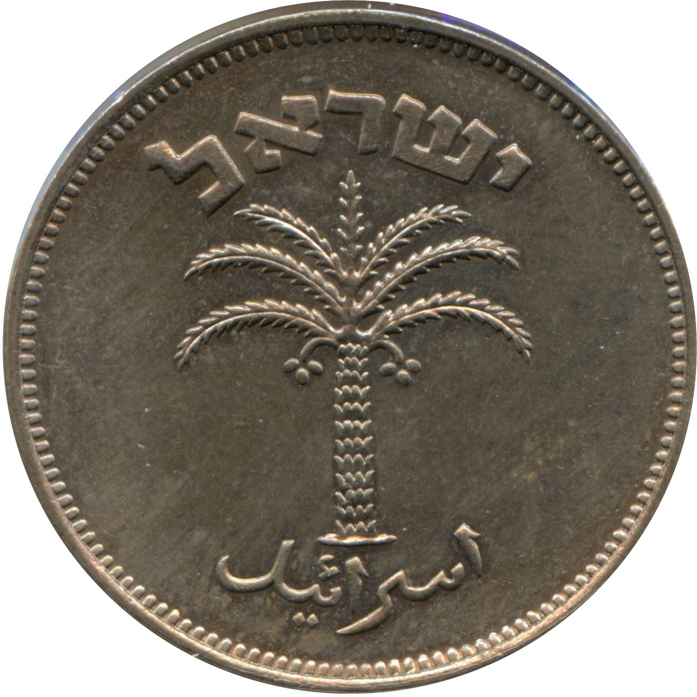 Israel | 100 Pruta Coin | Palm Tree | Wreath | KM14 | 1949 - 1955