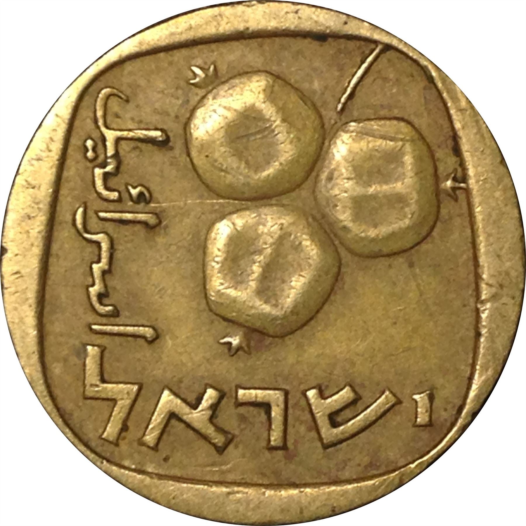 Israel | 5 Agorot Coin | Pomegranates | KM25 | 1960 - 1975