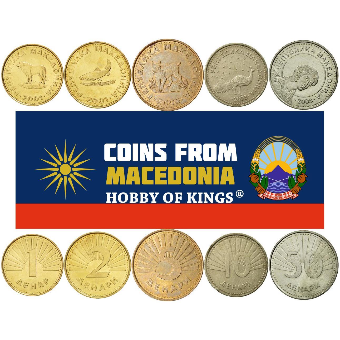 Macedonian 5 Coin Set 1 2 5 10 50 Denari | Balkan Lynx | Peacock | Sarplaninac Dog | Trout | Archangel Gabriel | North Macedonia | 1993 - 2020