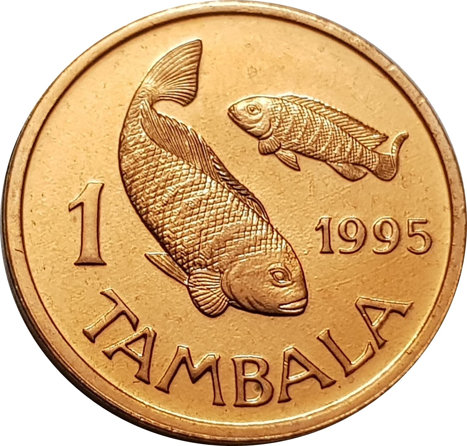 Malawi Coin Malawian 1 Tambala Coin | Tilapia Fish | KM33 | 1995