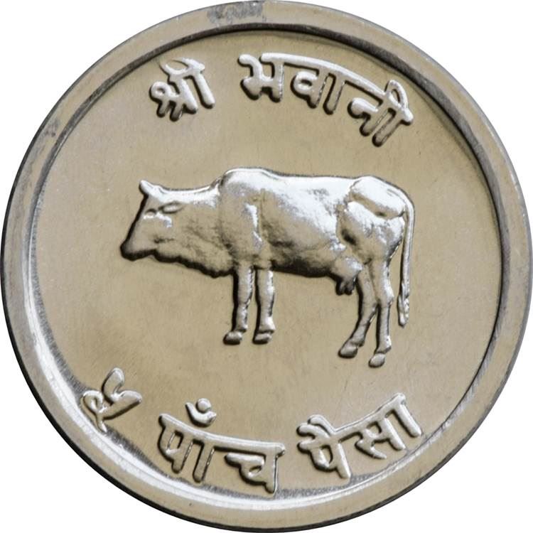 Nepal | 5 Paisa Coin | Cow | KM:759 | 1966 - 1971