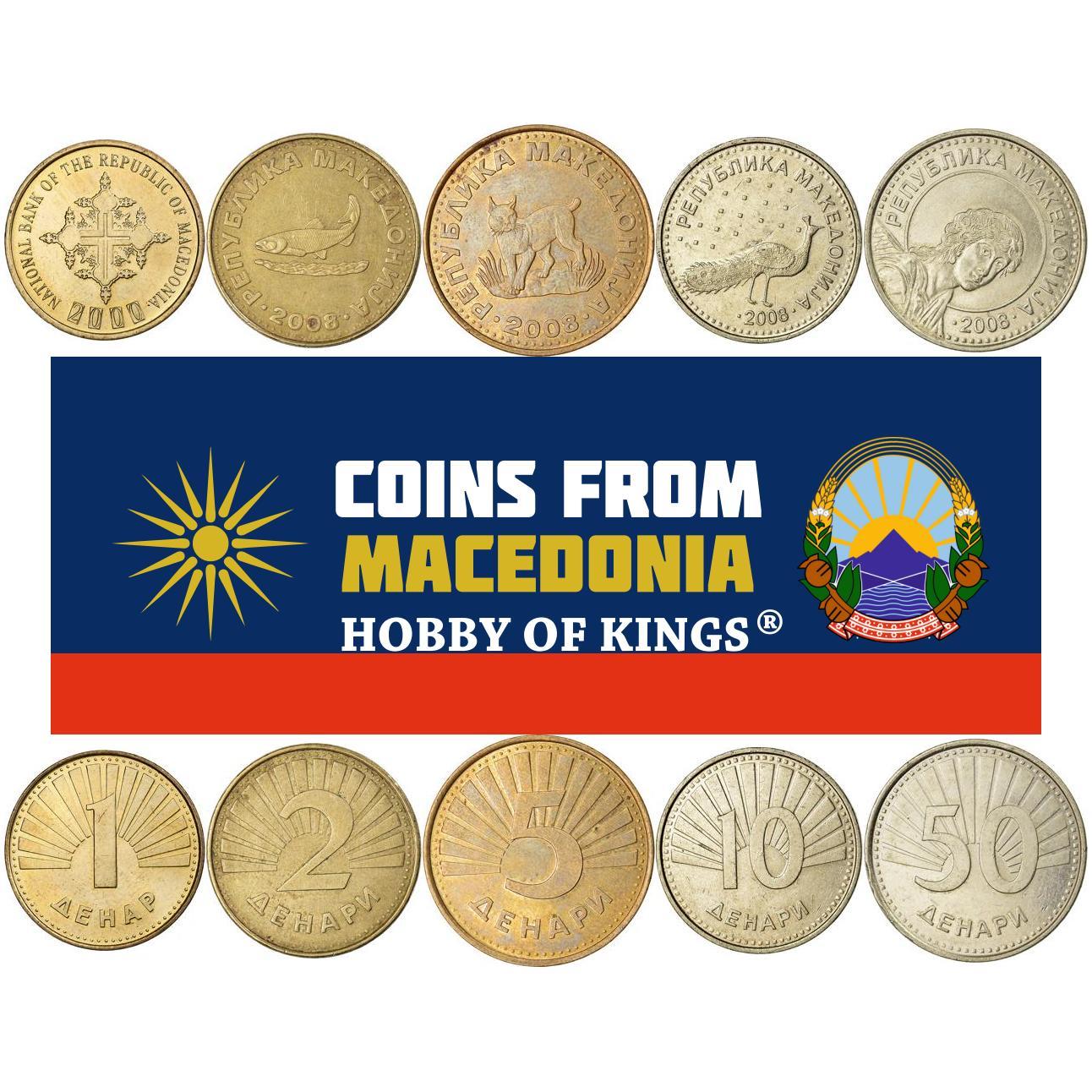 North Macedonia | 5 Coin Set | 1 Denar 2 5 10 50 Denari | Ohrid trout | Balkan Lynx | Archangel Gabriel | 1993 - 2017