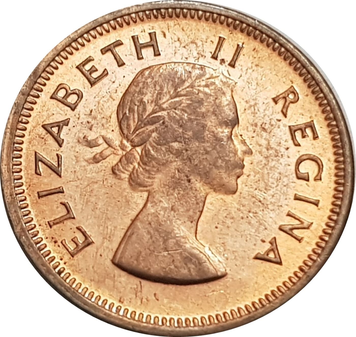 South Africa 1/4 Penny Coin | Elizabeth II 1st portrait | KM44 | 1953 - 1960