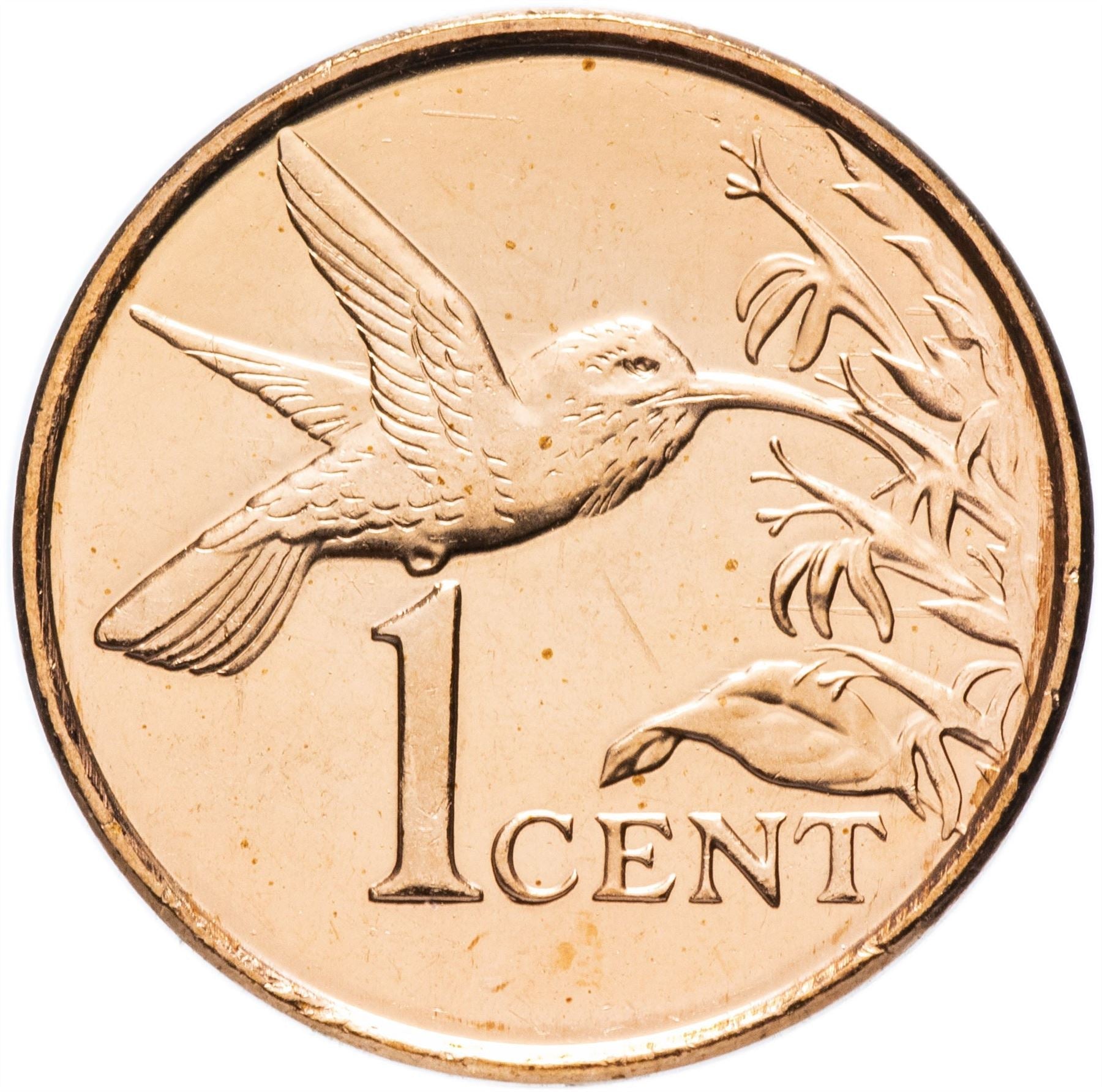 Trinidad and Tobago 1 Cent Coin | Hummingbird | KM29 | 1976 - 2016