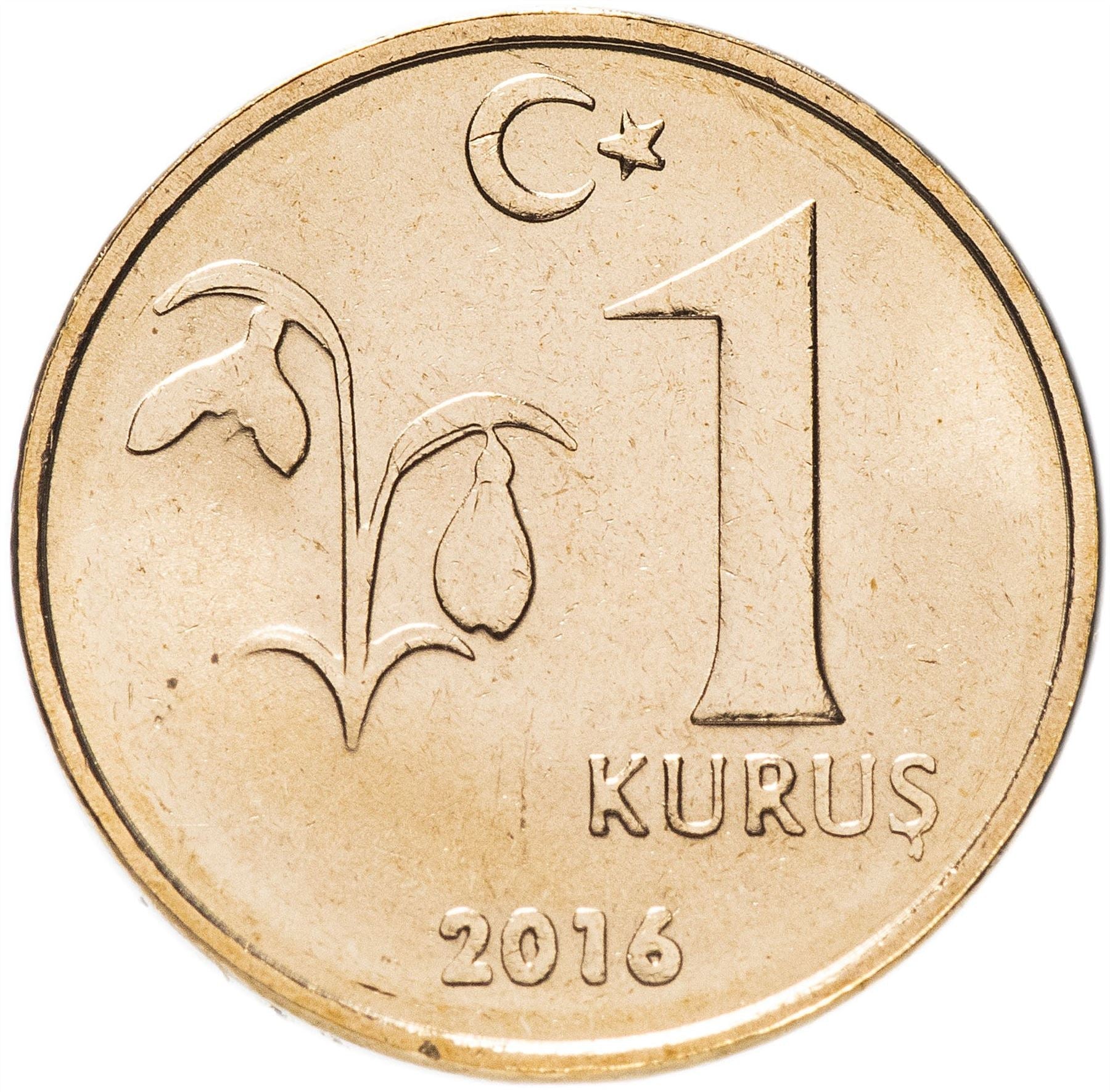 Turkey Coin Turkish 1 Kurus | President Mustafa Kemal Ataturk | Snowdrop Flower | KM1239 | 2009 - 2020