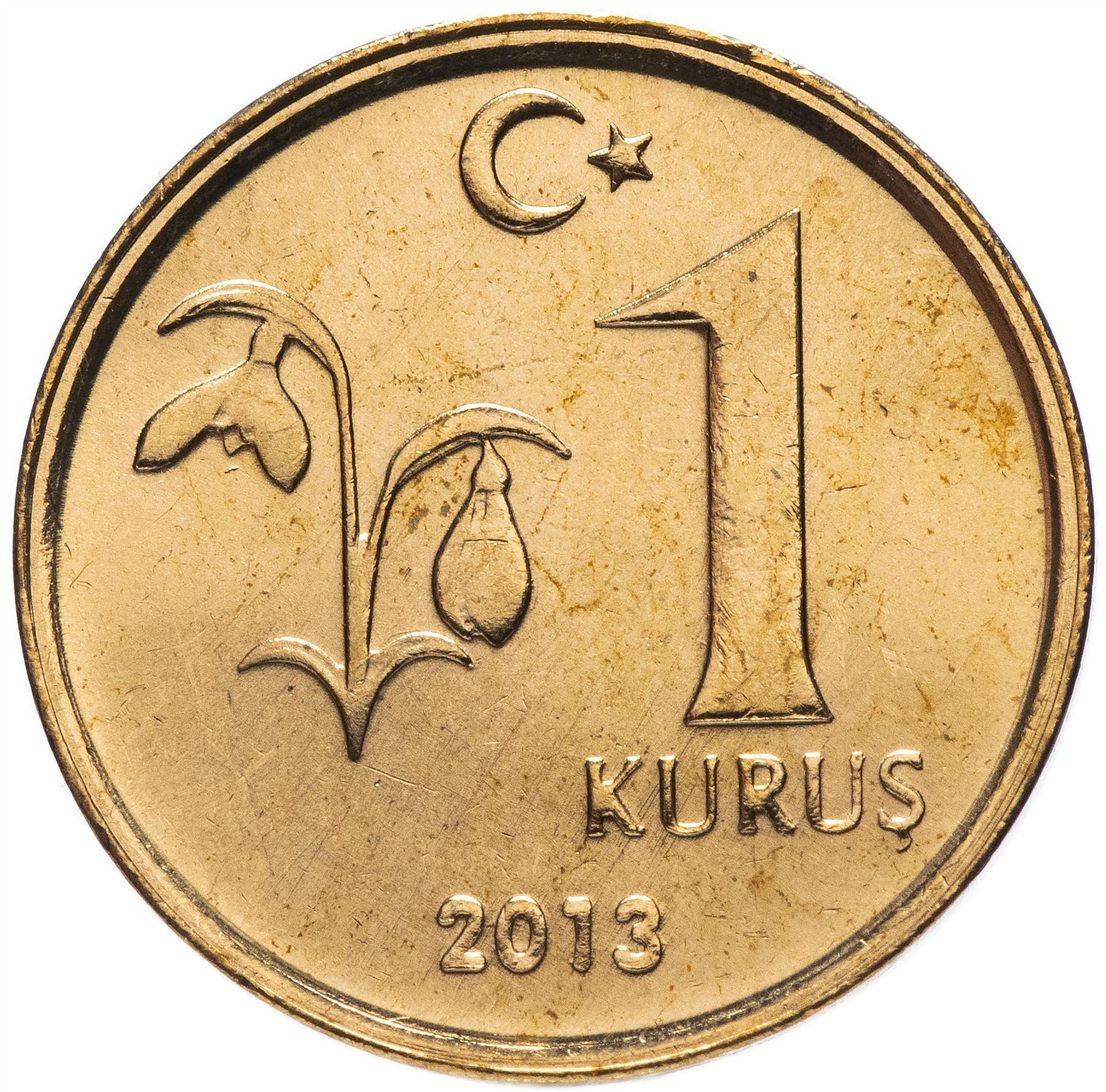 Turkey Coin Turkish 1 Kurus | President Mustafa Kemal Ataturk | Snowdrop Flower | KM1239 | 2009 - 2020