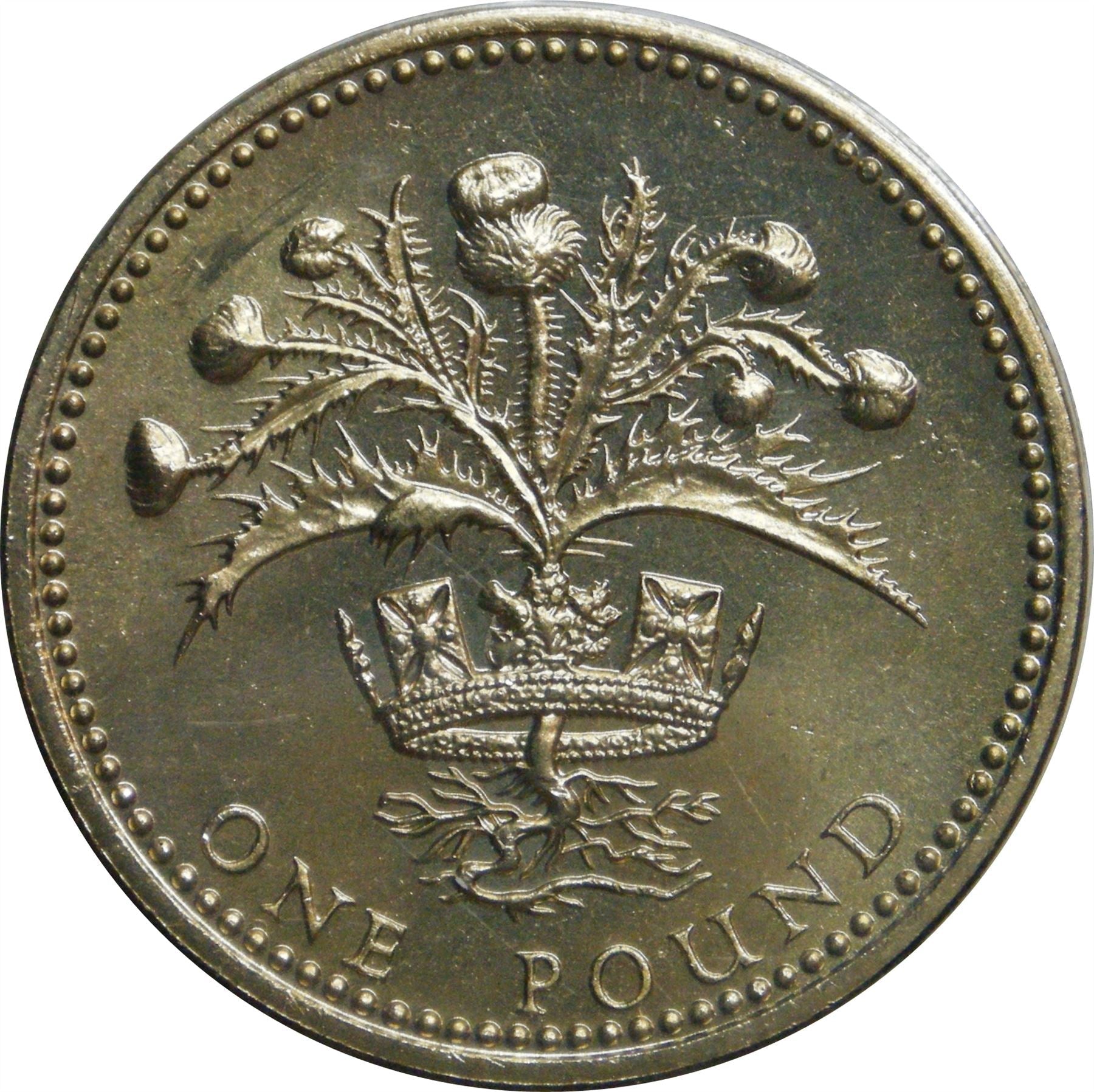 United Kingdom Coin 1 Pound | Elizabeth II 2nd portrait | Scottish Thistle | 1984