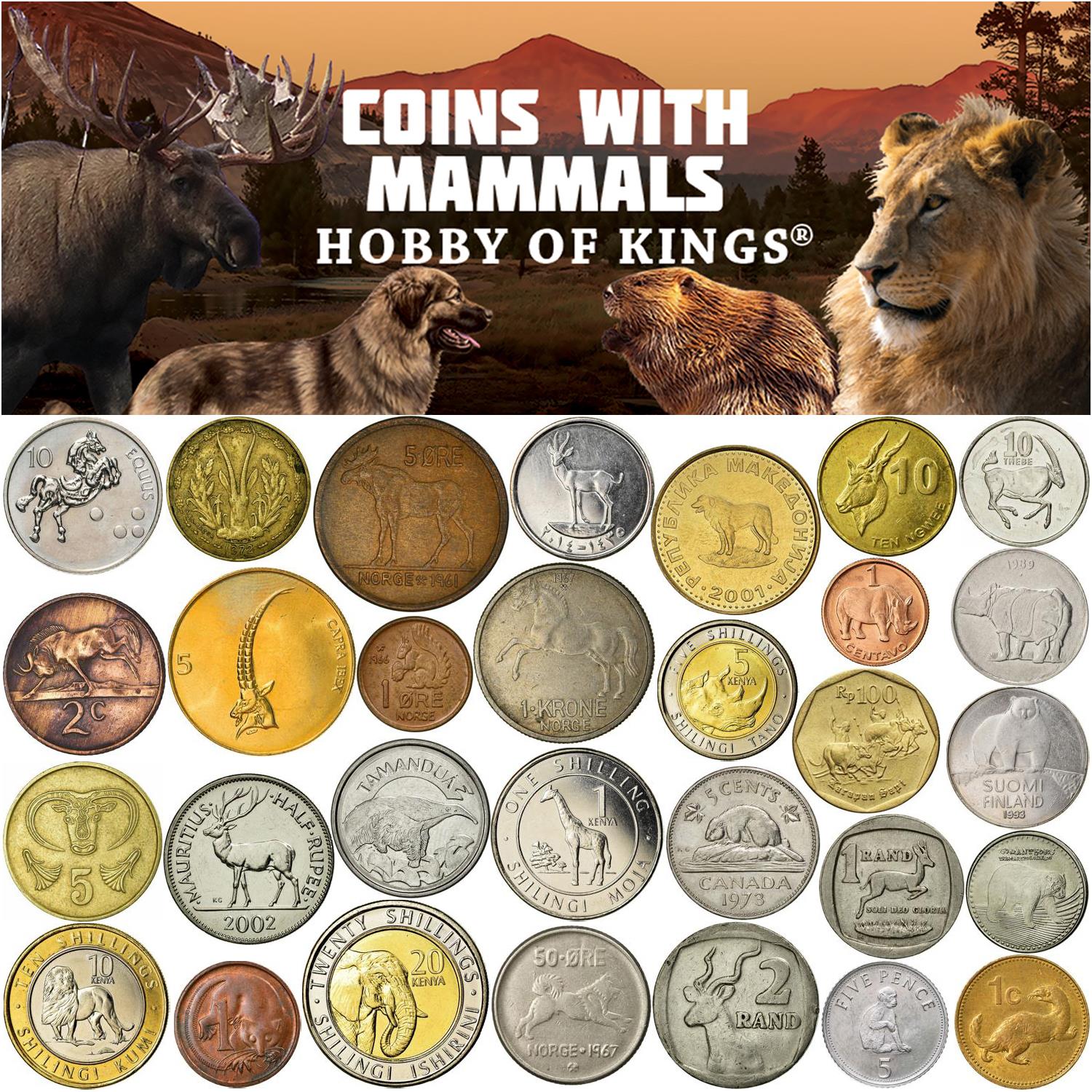 Coins With Different Mammals | Dogs, Cats, Bulls, Horses, Lions, Rhinos, Elephants and More